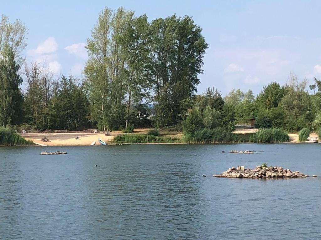 Вилла Wohnen-Auf-Zeit-Am-See Grossostheim Экстерьер фото